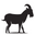 MtnGoat logo